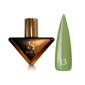 Гель-лак для нігтів Steffani Color Gel Polish №13 9 мл