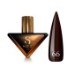 Гель-лак для нігтів Steffani Color Gel Polish №66 9 мл