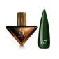 Гель-лак для нігтів Steffani Color Gel Polish №67 9 мл